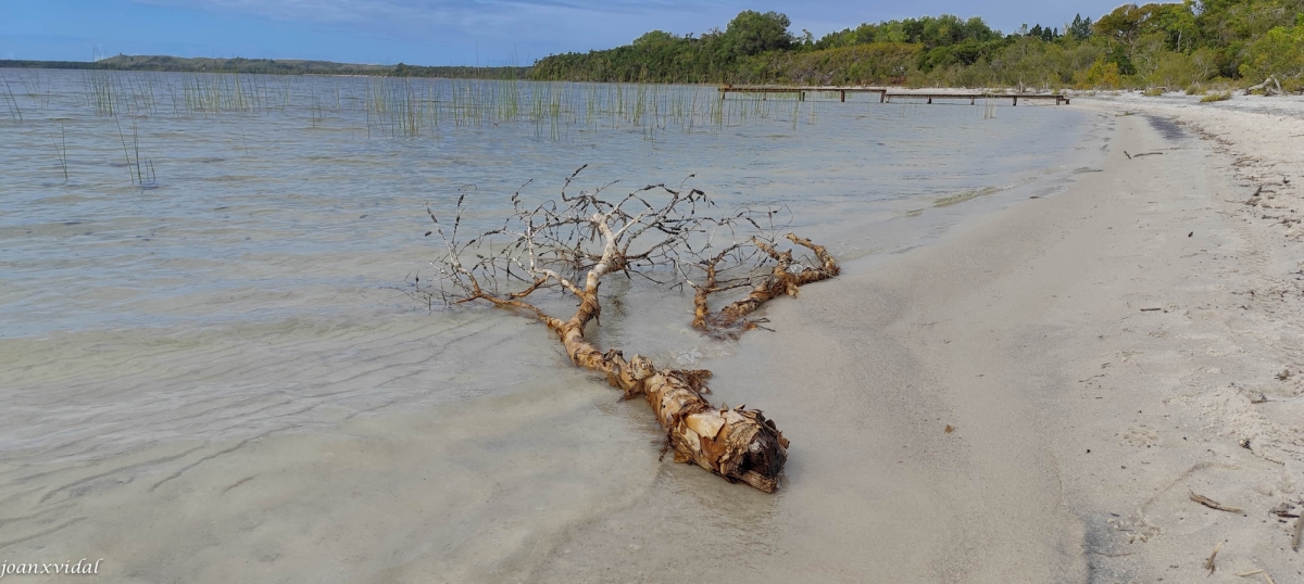 PLATJA DE TOAMASINA