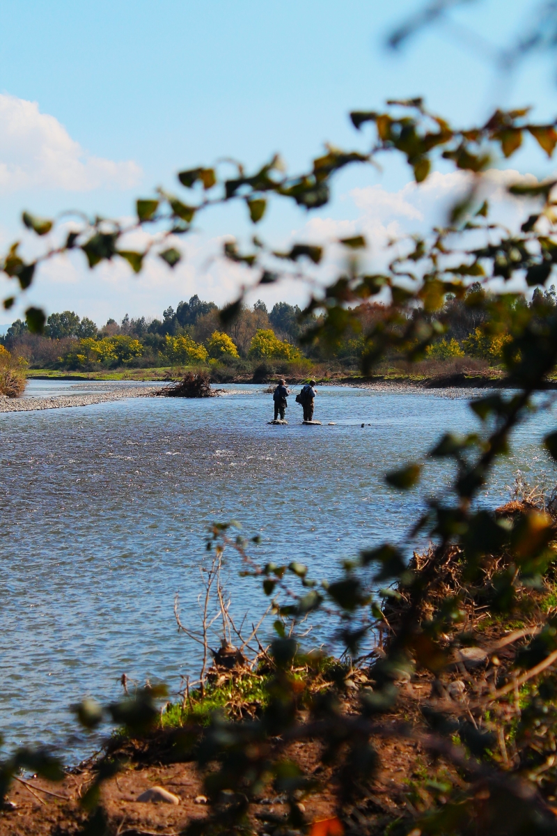 Pesca en rio