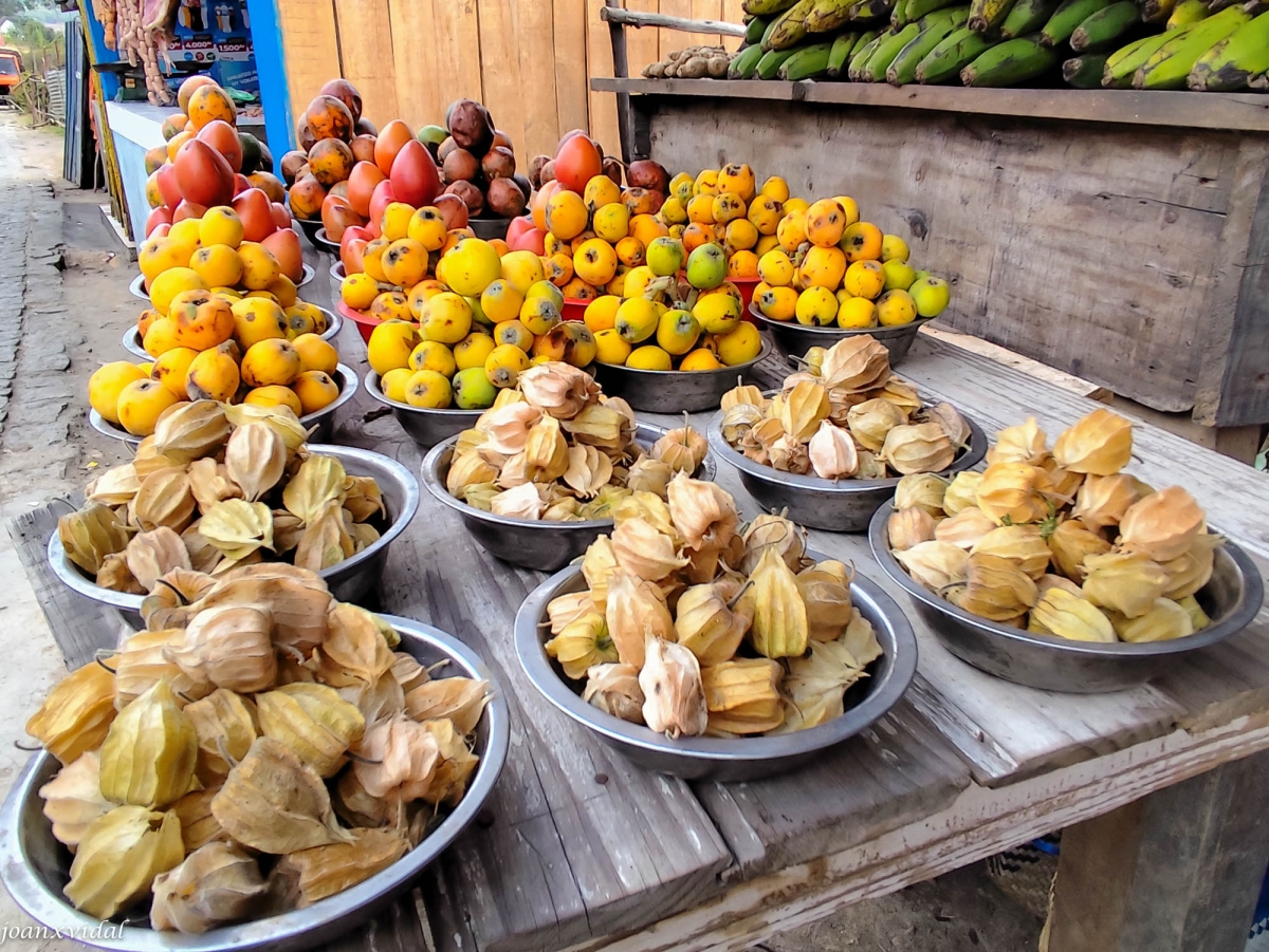 MERCAT DE FRUITES