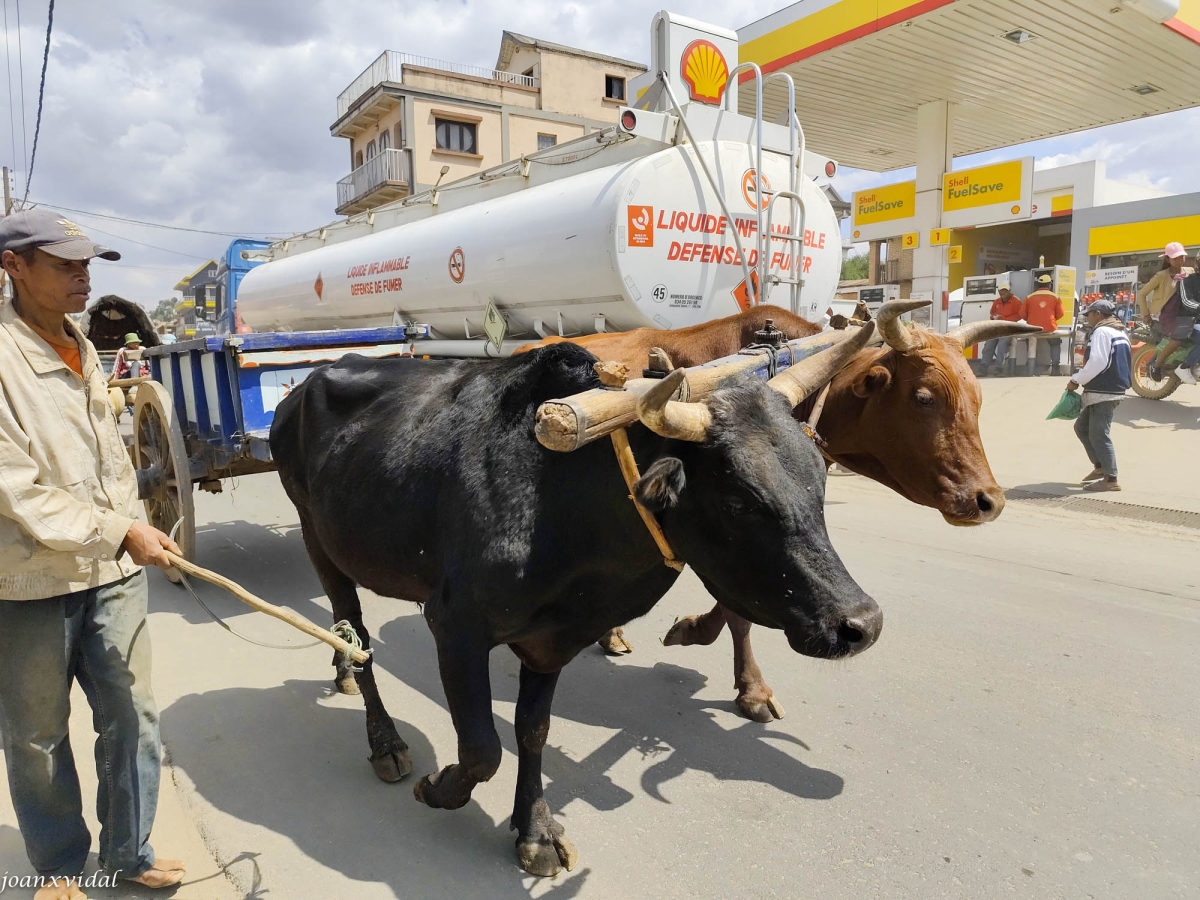 MERCANCIAS Y MEDIOS DE TRANSPORTE