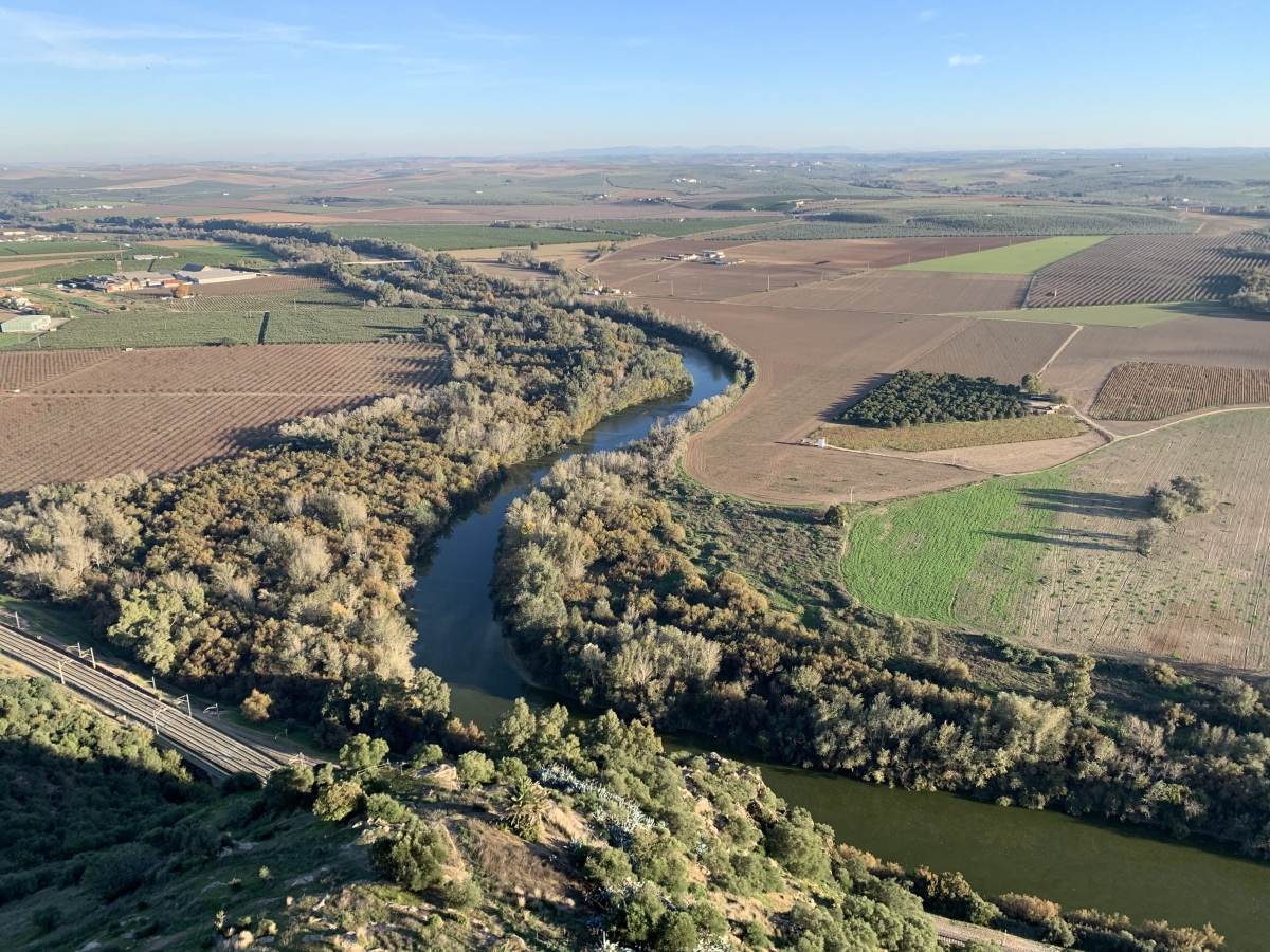 Bosque galera del Ro Guadalquivir