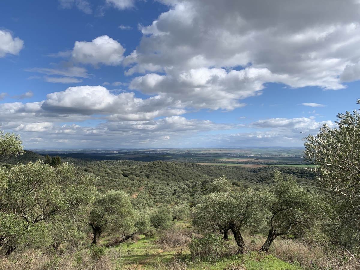 Paisaje desde el Cerro S. Cristbal