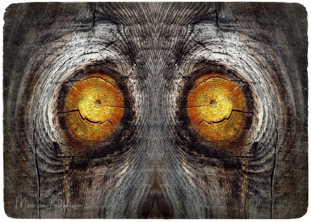  Ojos 