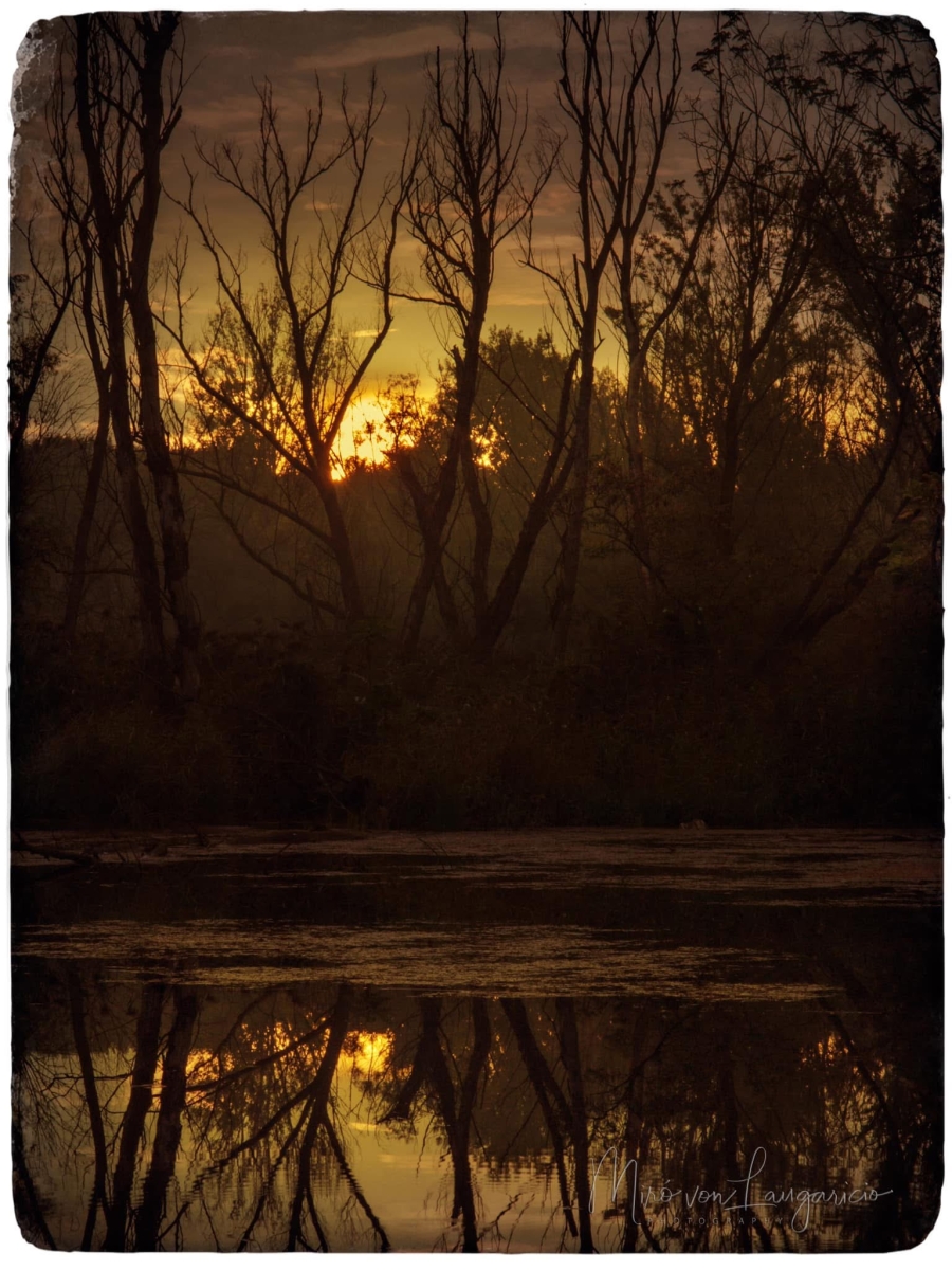  Reflejo del silencio 