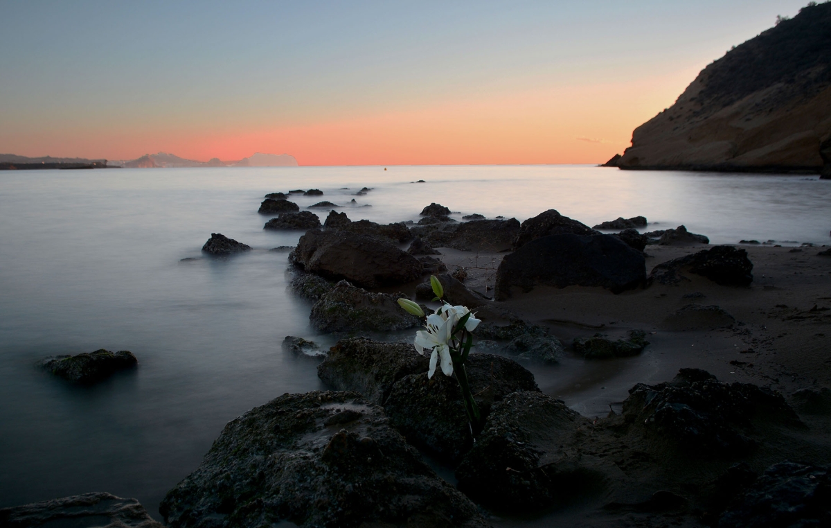 Cala cocedores 2