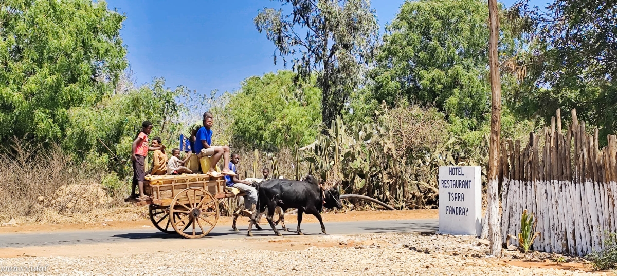 CAMINO DE TOLIARA