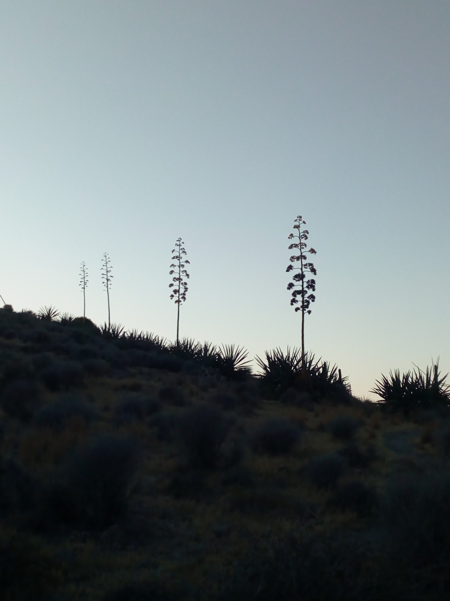 Paisaje entre volcanes