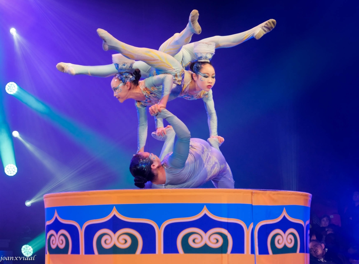 SUINING ACROBATIC TROUPE OF CHINA