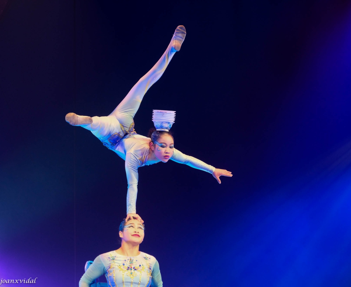 SUINING ACROBATIC TROUPE OF CHINA