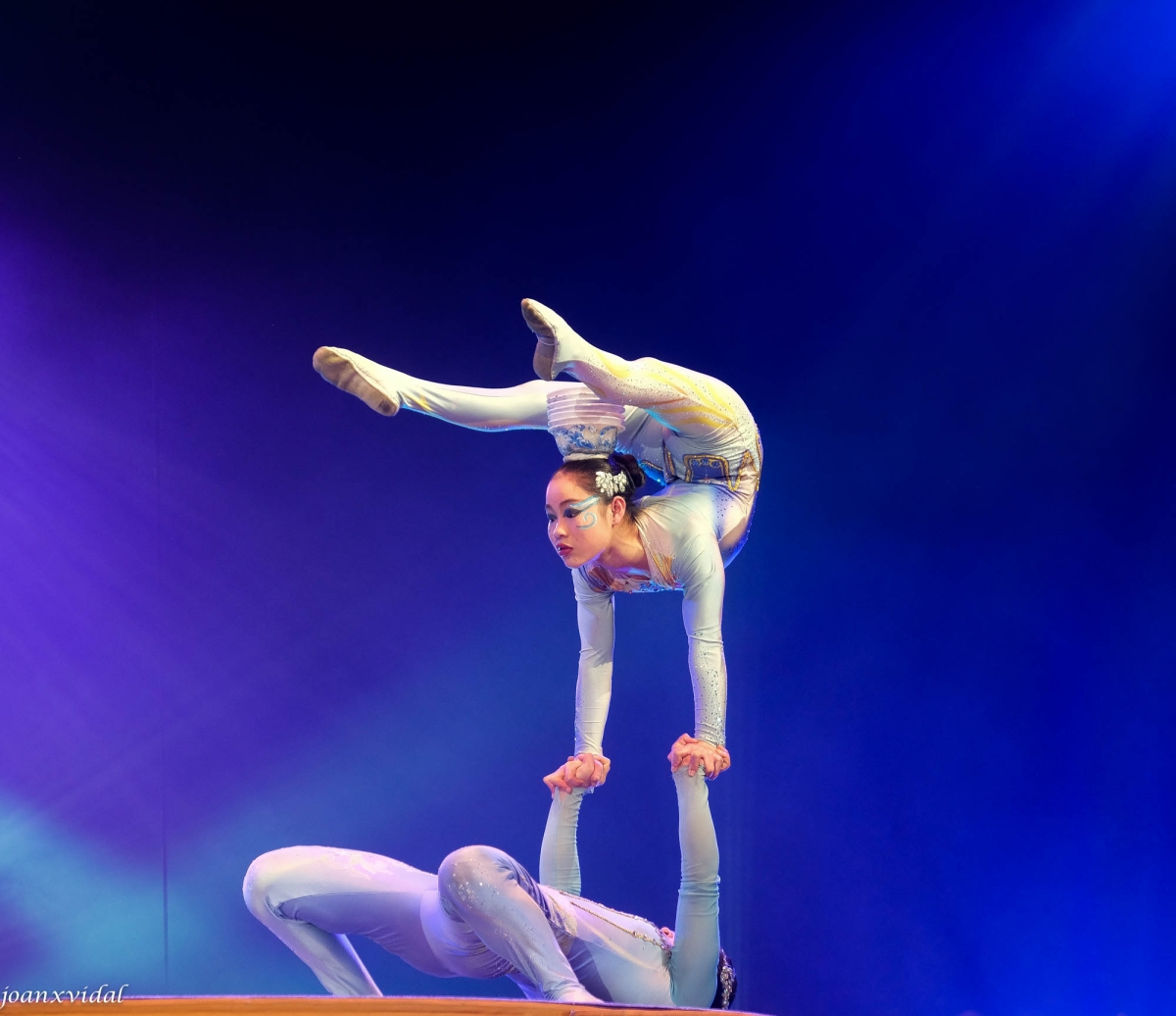 SUINING ACROBATIC TROUPE OF CHINA