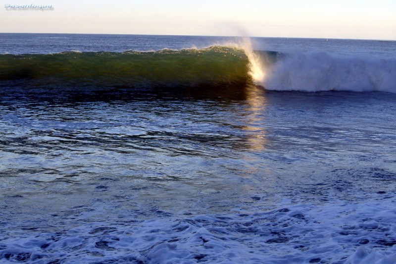 Surfing En La Palma...