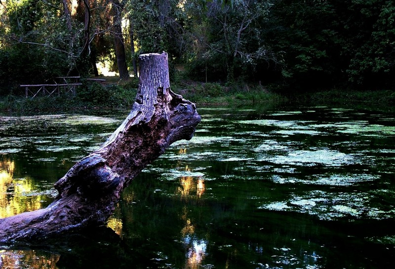 Lago de los Espejos