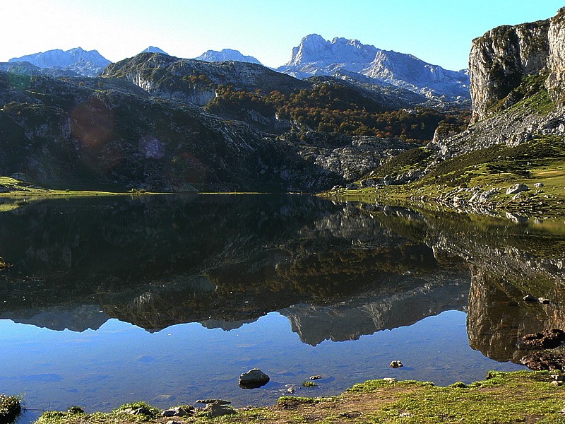 reflejos