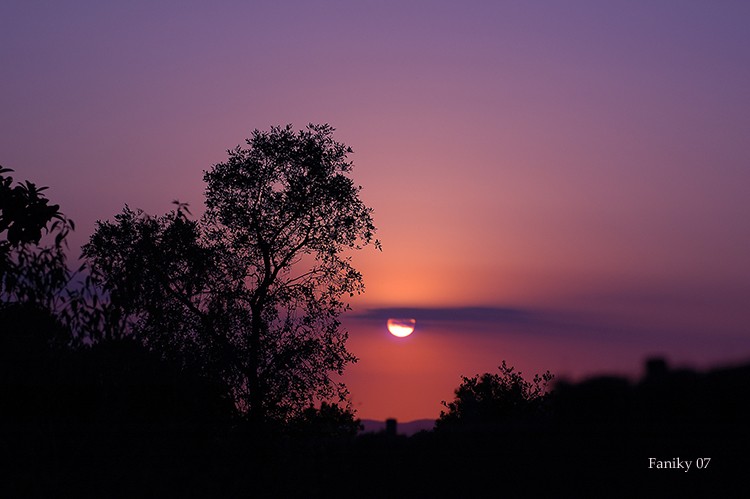 Atardecer Magenta