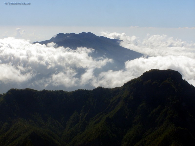 Desde Lo Alto De La Palma