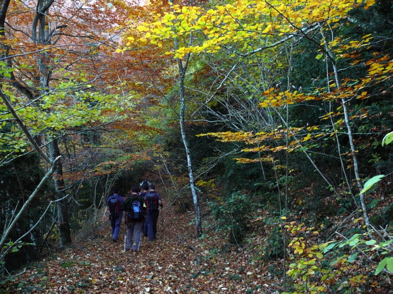 Serra de Llancers