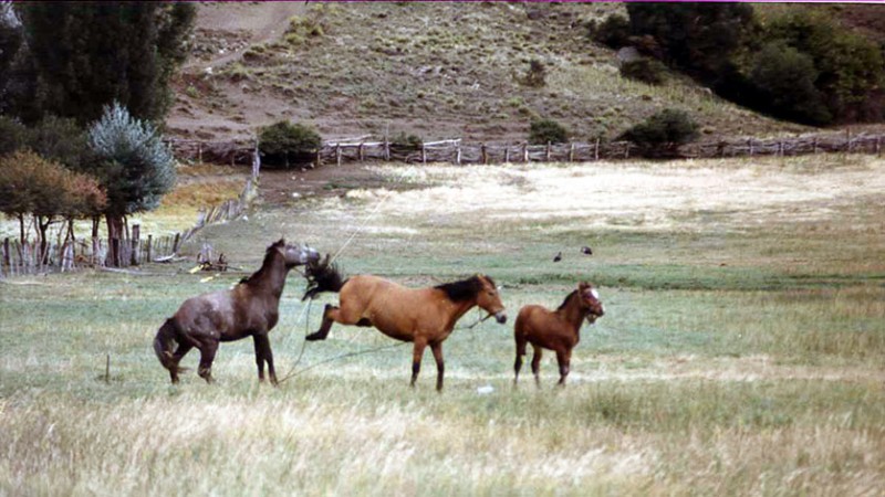 San Martin de los Andes