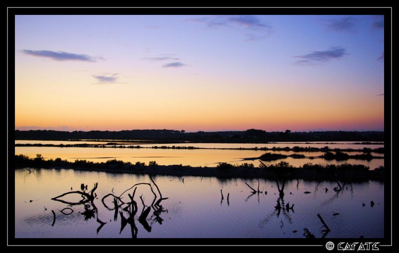 Salines