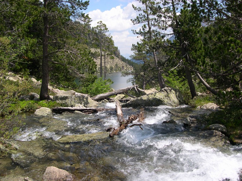 Camino de Sant Maurici