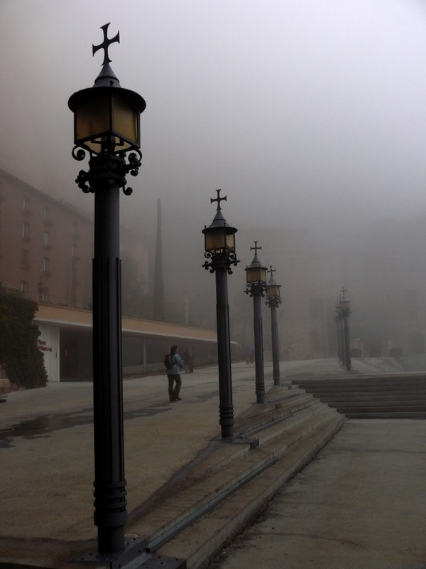 faroles en la niebla