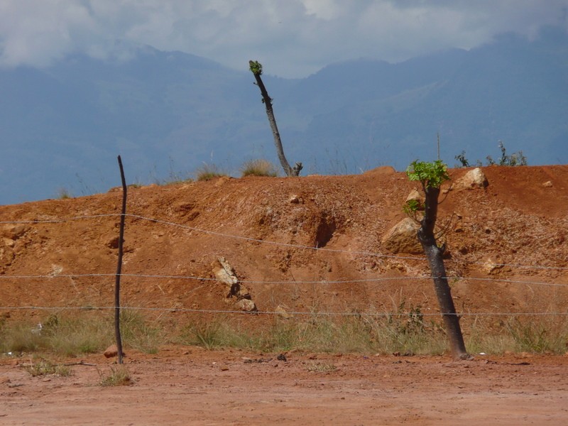 TIERRA AMARILLA