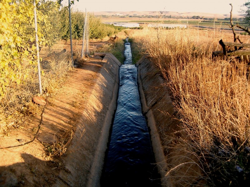 La acequia