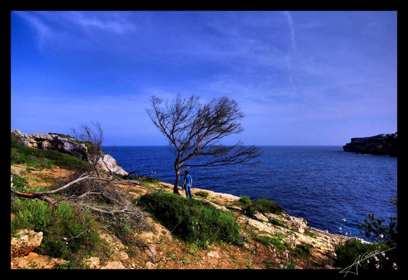 La mar, la terra i el cel