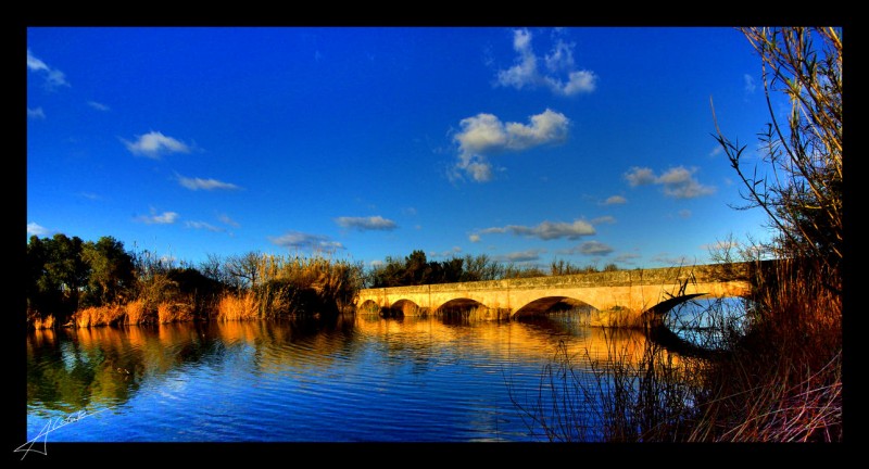 Albufera de Muro