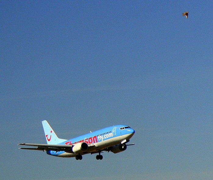 Carreras en el cielo.