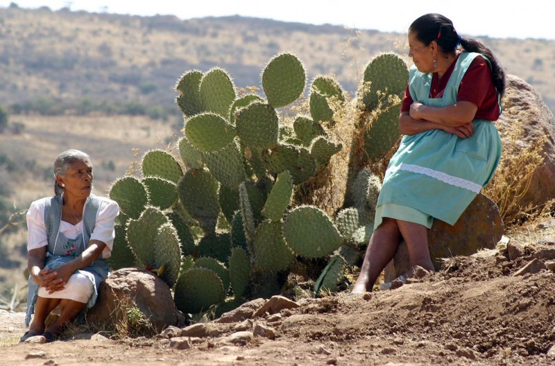 Amistad