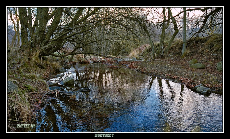 Paisaje y Naturaleza