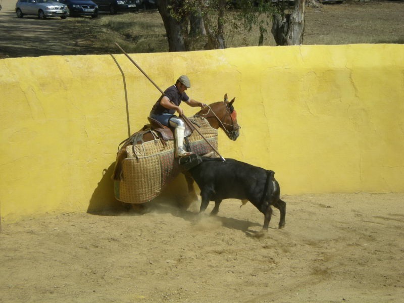 Entre la espada y la pared