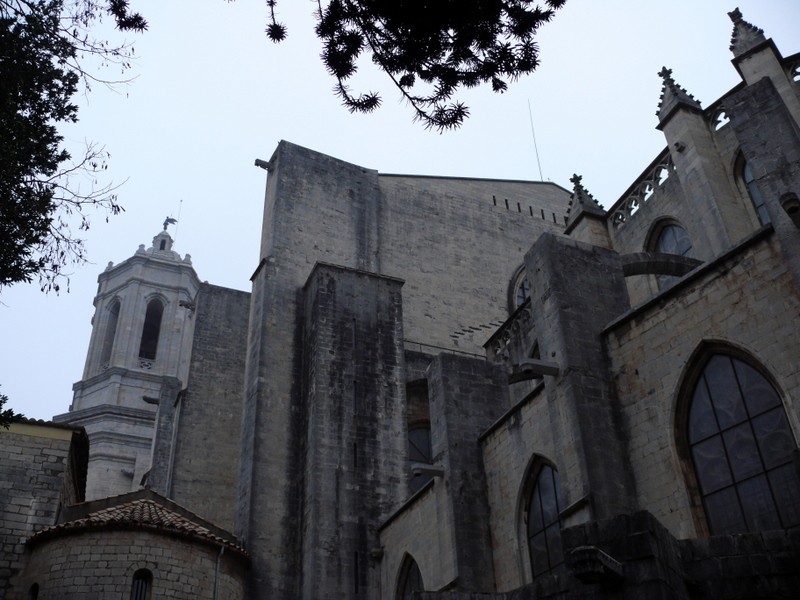 Girona gris i negra