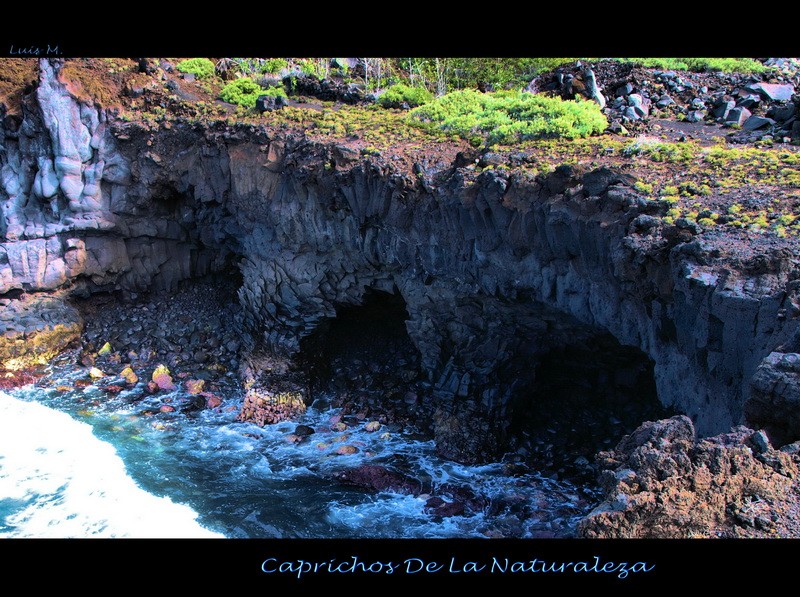 Caprichos De La Naturaleza