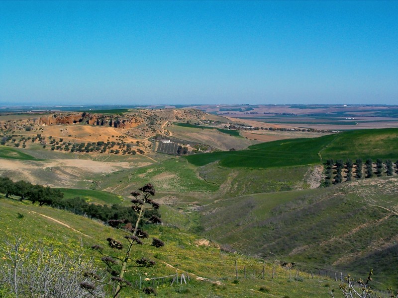 Comarca de los Alcores