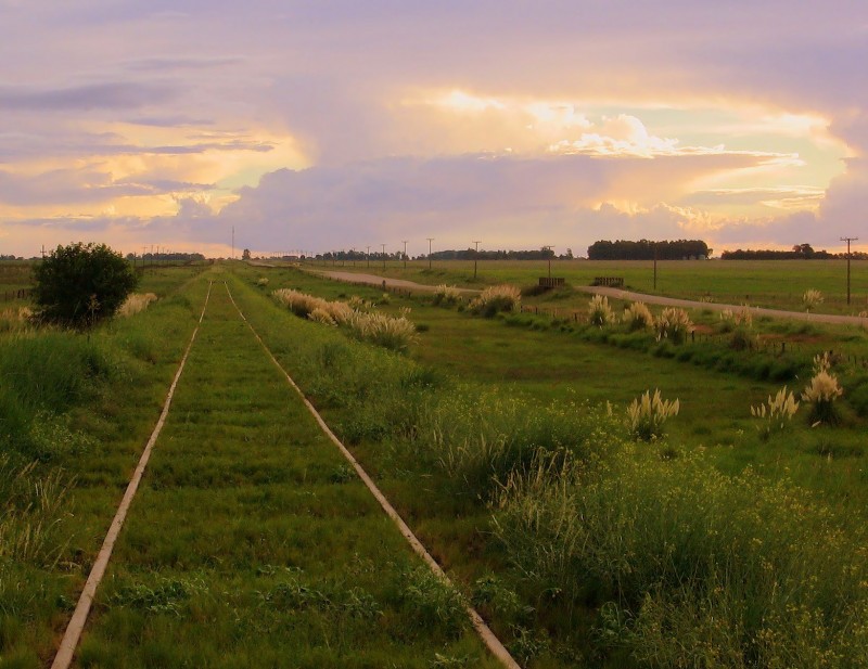 CUANTO CAMPO