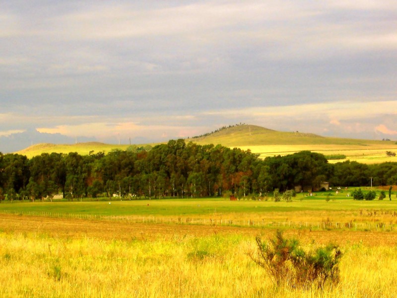 CAMPO NUESTRO