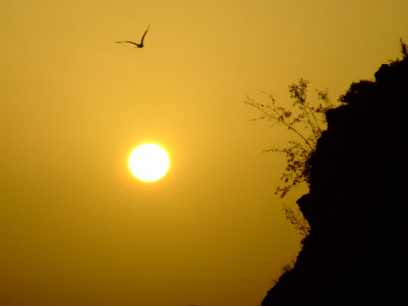 vuelo al atardecer