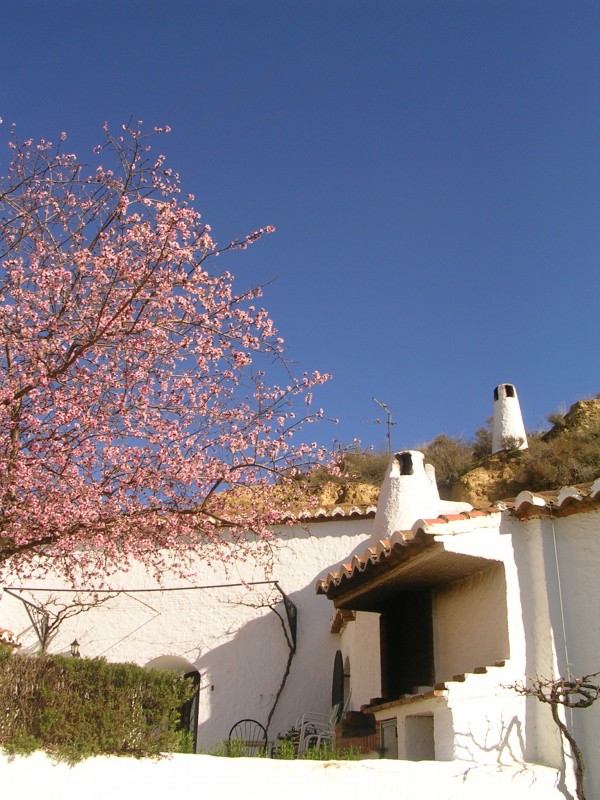 Cuevas de Pedro Antonio de Alarcon- Guadix