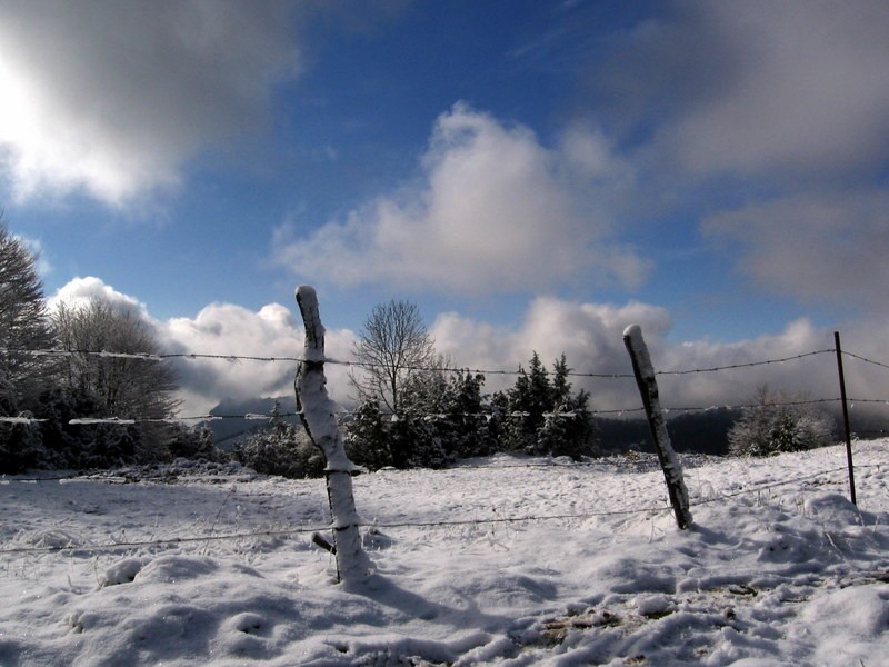 nieve primaveral