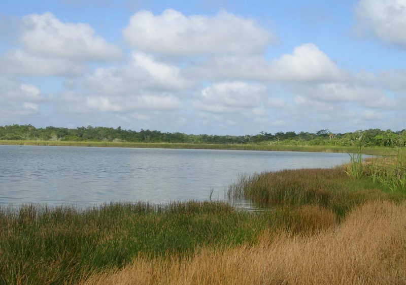 Laguna de cocodrilos