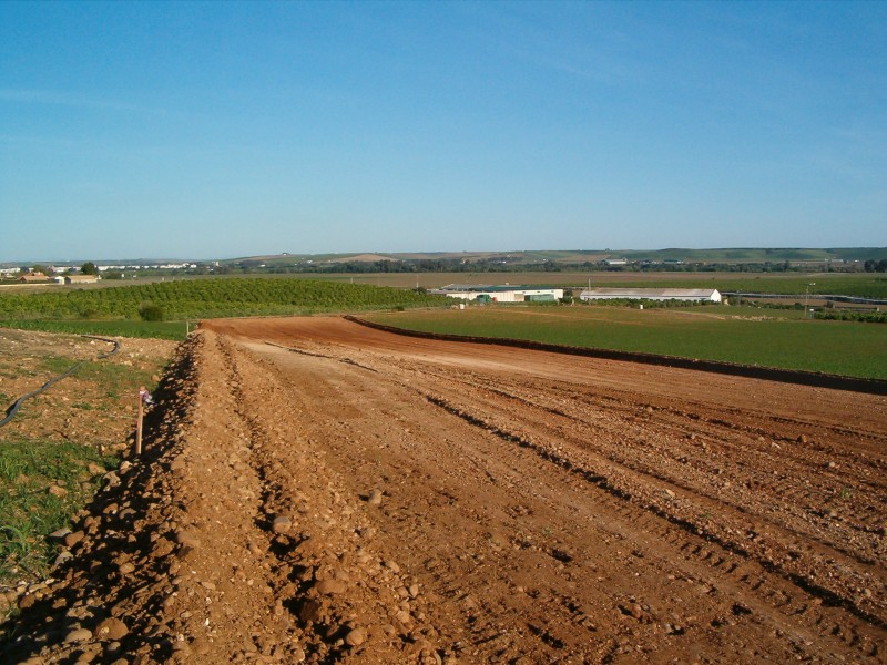 Abriendo nuevos caminos