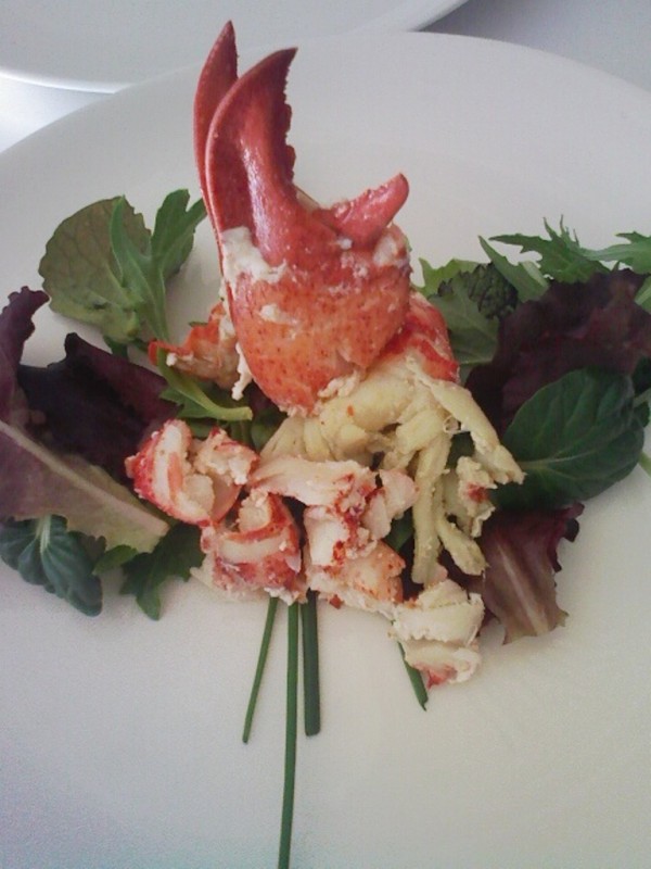 Hoy tenemos...Ensalada fresca de bogabante con brotes de hojas y vinagreta de su coral