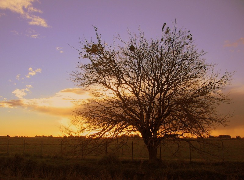 ENTRE NOSOTROS Y EL SOL