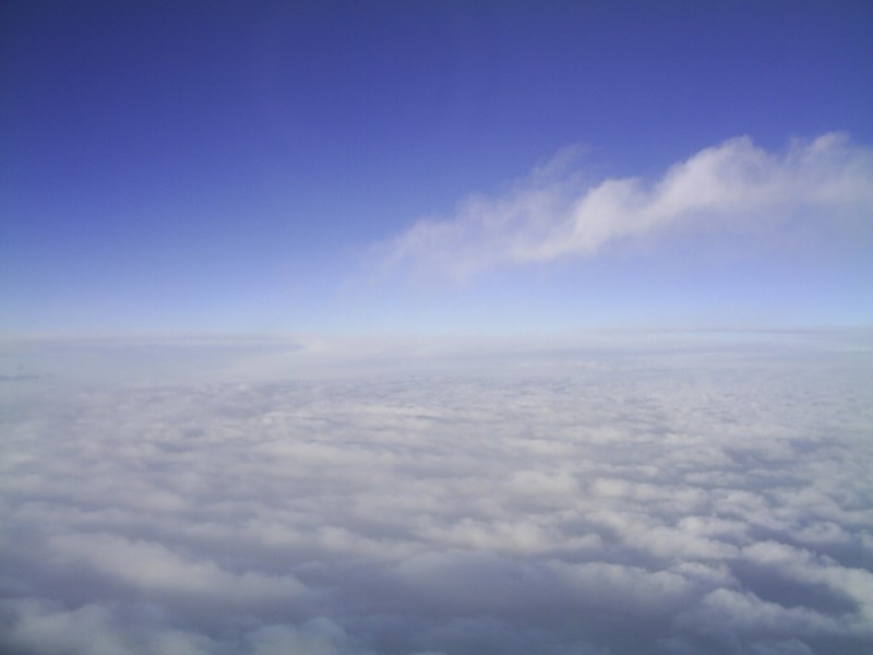 NUBES DE ALGODON