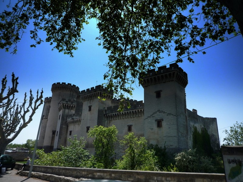 Castillo de Tarascn