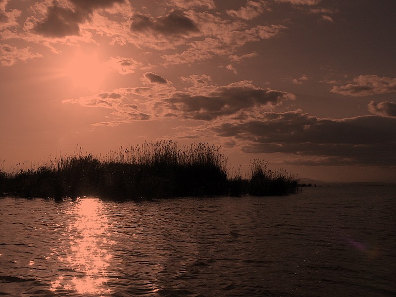 la albufera