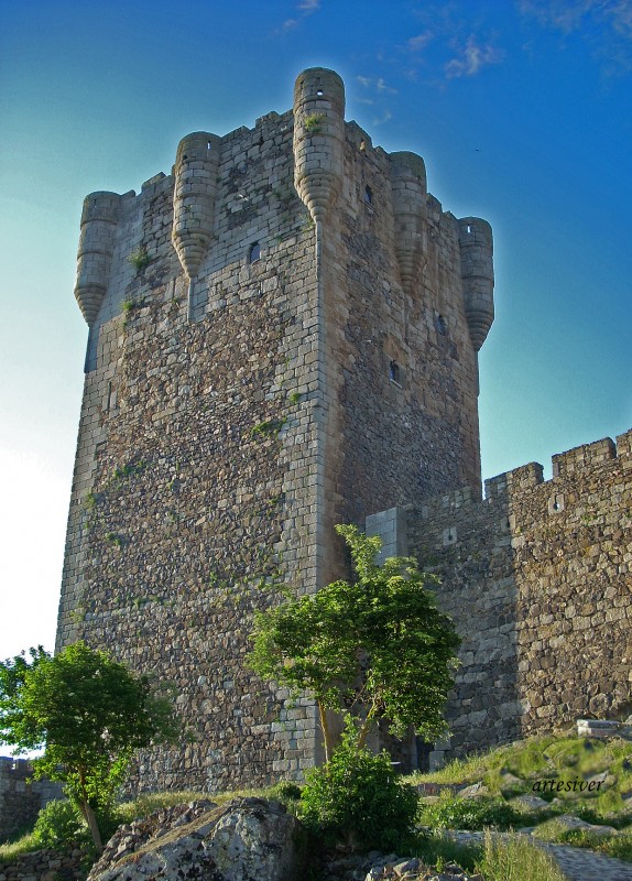 castillo de monleon