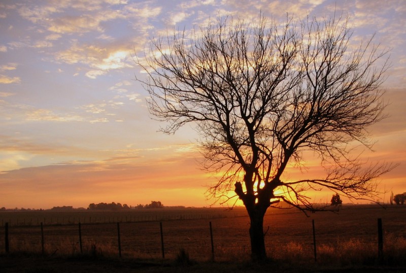 UN ATARDECER DE OTOO