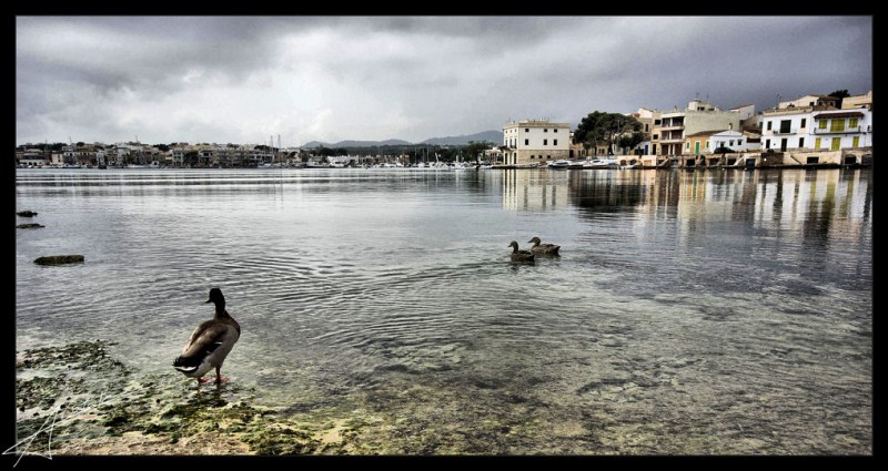 Porto Colom